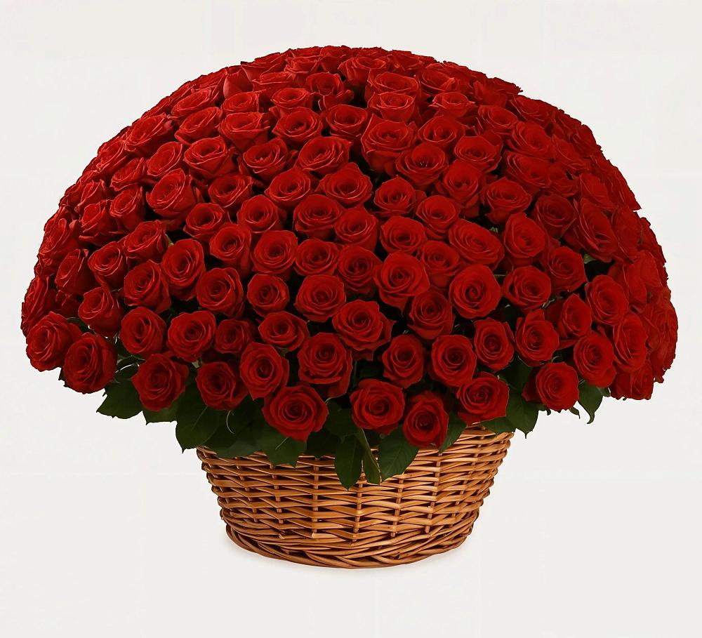 Премиум букет из: Розы в Чкаловске