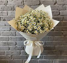 Букет цветов из:  Ромашки в Чкаловске