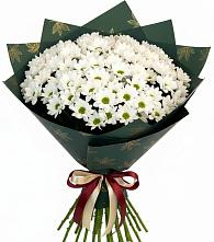 Букет цветов из:  Хризантемы в Чкаловске