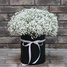 Цветочная композиция из Гипсофила в шляпной коробке в Чкаловске
