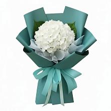 Букет цветов из:  Гортензия в Чкаловске